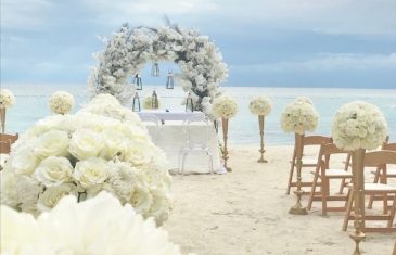 wedding photographer San Diego CA-wedding videographer San Diego CA-celeste wedding photography san diego ca #weddingphotographySanDiego wedding-photographer-San-Diego-CA-wedding-videographer-San-Diego-CA-celeste-wedding-photography-san-diego-ca-weddingphotographySanDiego